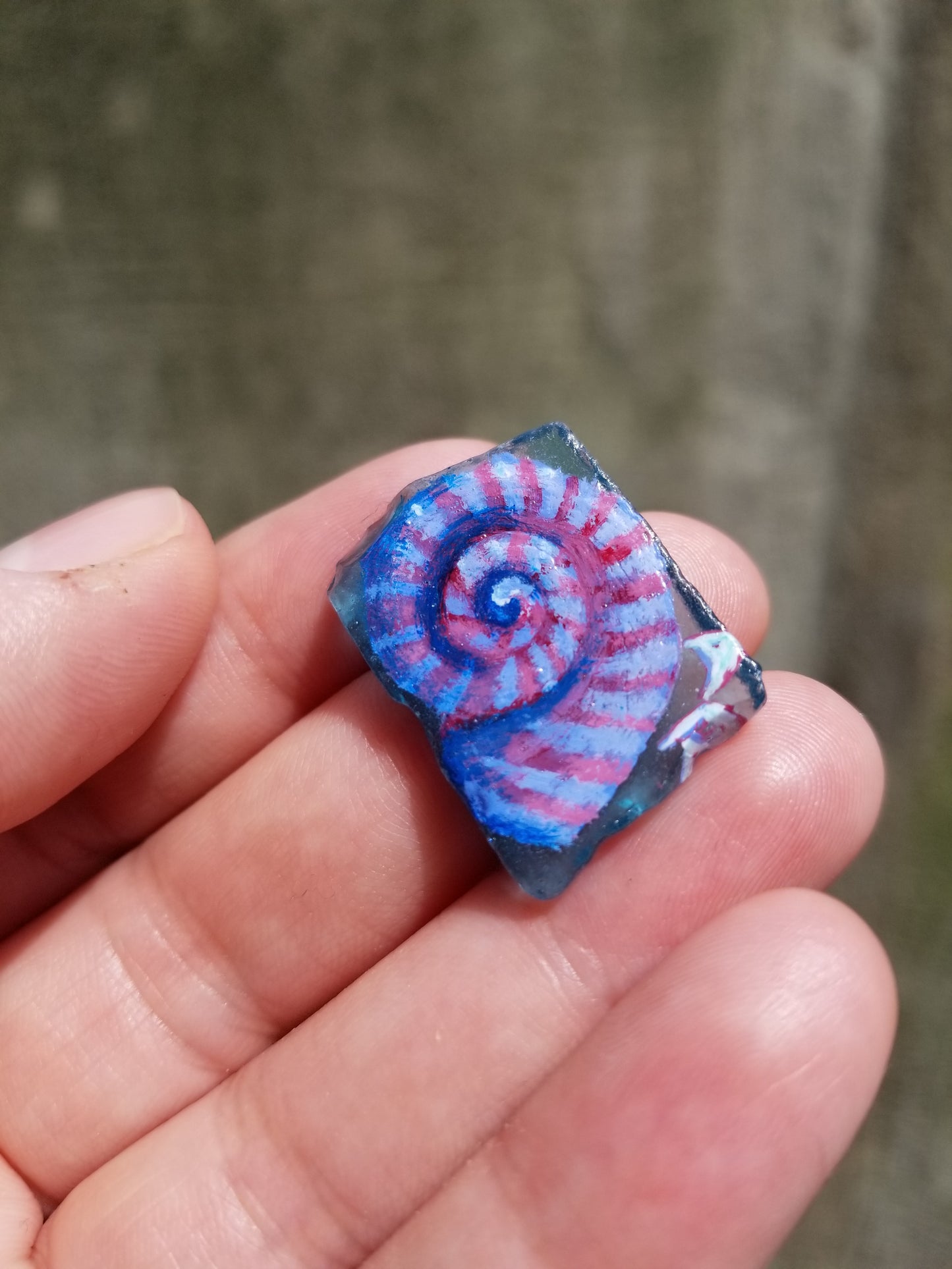 Striped Helix Seashell